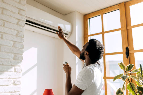Best Air Conditioning Cleaning in Shackle Island, TN